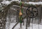 IMG_2422.JPG